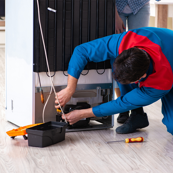 what are the common refrigerator repair services in Lebanon